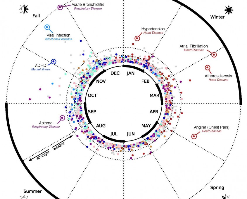 Birth Month and Disease Incidence, image by CUMC Newsroom