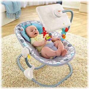 Newborn-to-Toddler Apptivity™ Seat for iPad® Device by Fisher-Price