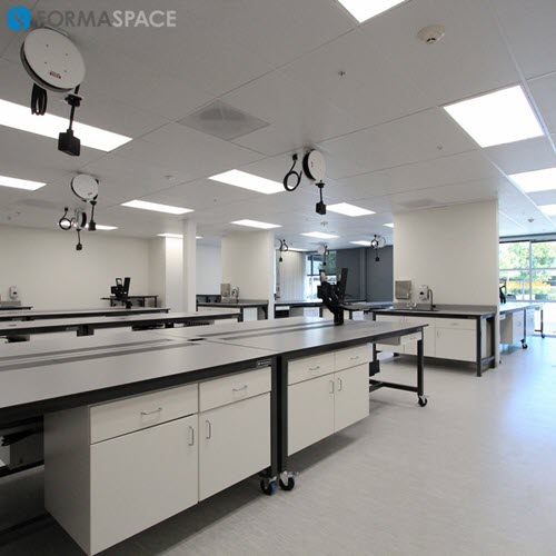 specimen processing lab bench