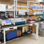 Hematology Laboratory Workbench in Florida Hospital