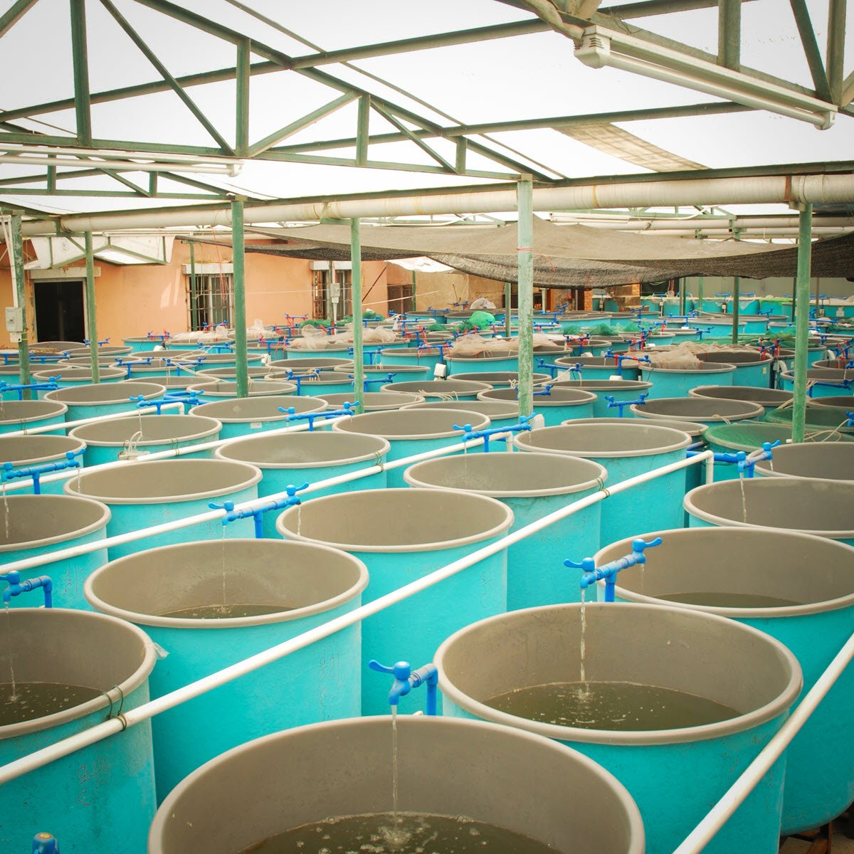 aquaculture laboratory