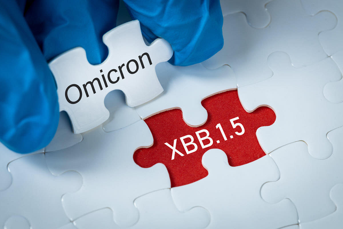 covid variation omicron xbb.1.5 puzzle