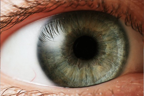 Forensic-Laboratory-BioMetric-Advances-Formaspace