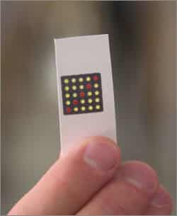 Wyss Institute scientists have embedded effective synthetic gene networks in pocket-sized slips of paper capable of identifying pathogens such as Ebola virus. Credit: Harvard's Wyss Institute
